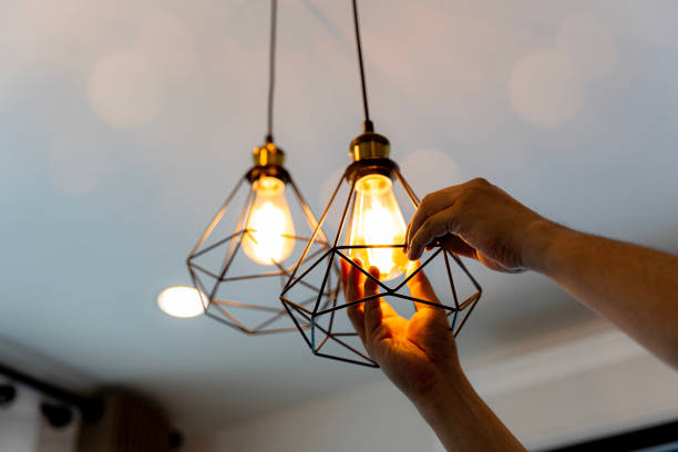 Best Electrical Repair Services  in Dodson Branch, TN
